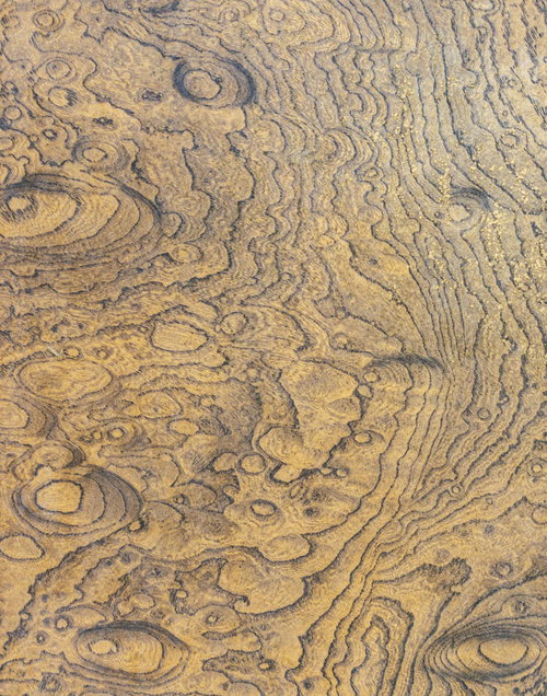 木目と年輪が浮かび上がる一枚板のテクスチャ