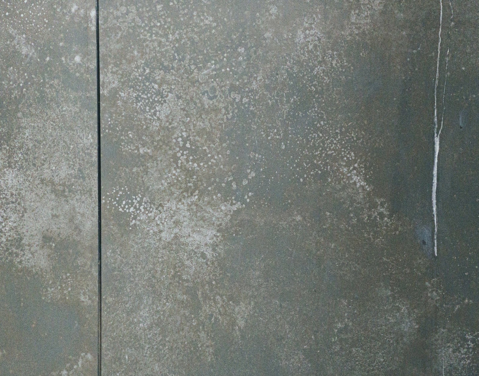 白華が発生したグレーのコンクリート壁面のテクスチャ