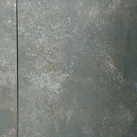 白華が始まったコンクリート壁のテクスチャの写真