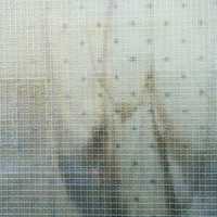 カーテンが透けた線入りガラスの窓の写真