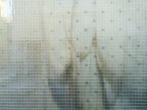 カーテンが透けた線入りガラスの窓