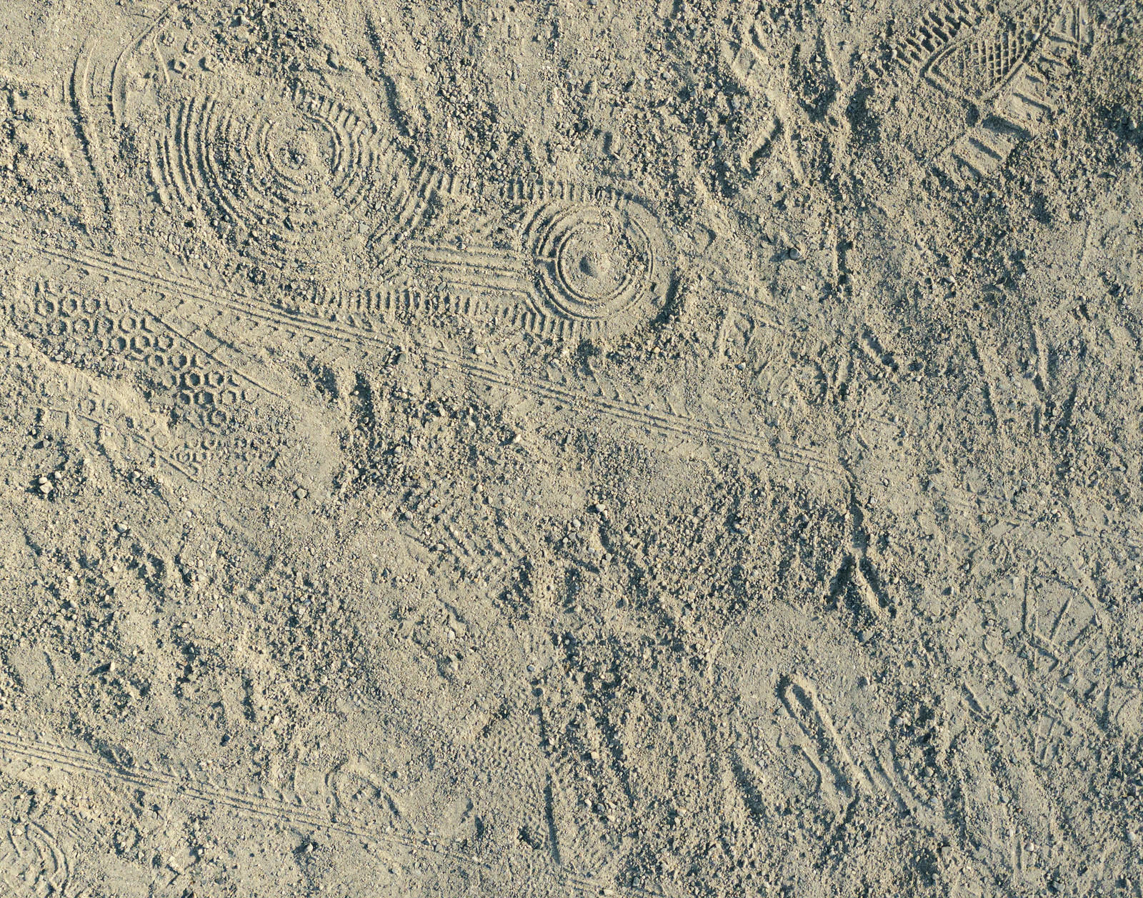 砂地の地面に無数の足跡や靴跡が重なり合って付いている様子