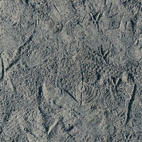 砂地の地面に複数残された靴の跡と足跡の痕跡の写真