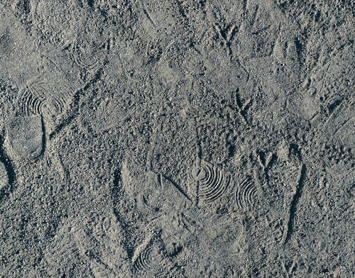 砂地の地面に複数残された靴の跡と足跡の痕跡