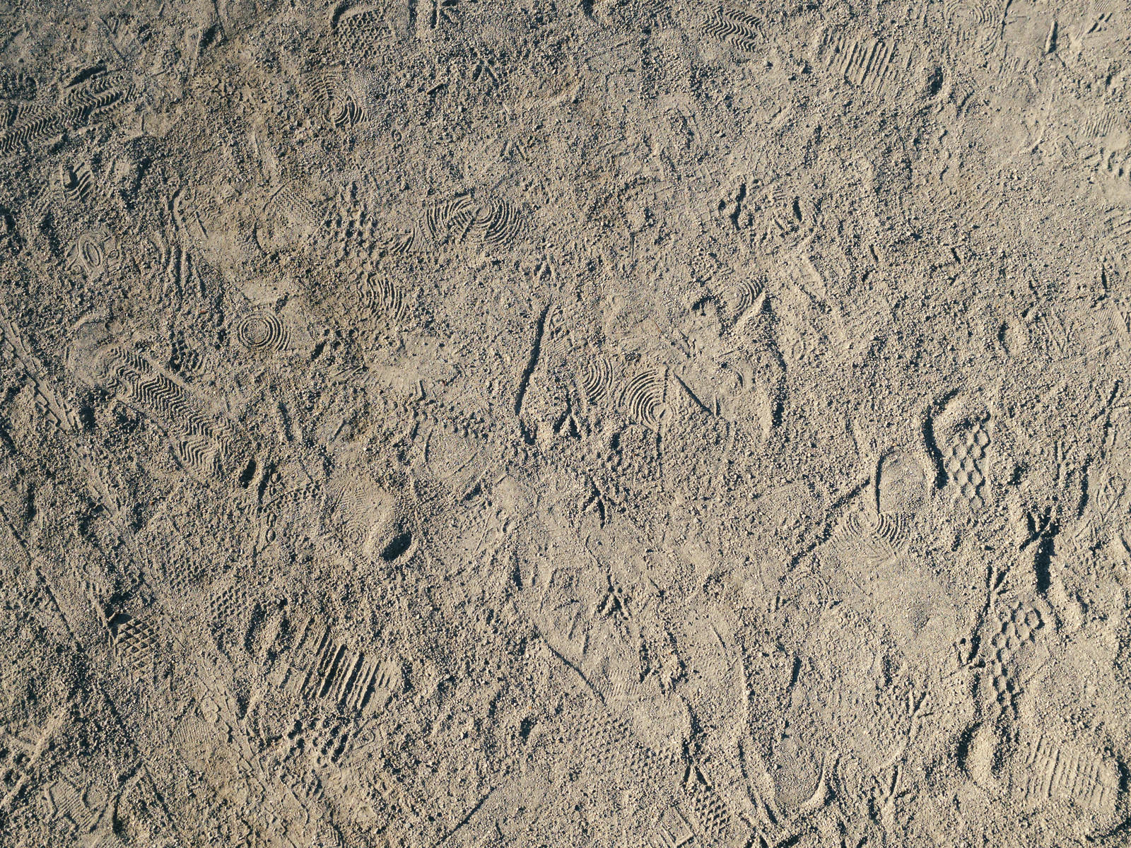 乾いた土の地面に無数の靴跡が残るテクスチャー