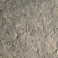 乾いた地面一面に残る靴跡とテクスチャーの質感の写真