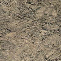 砂地に残る色々な人の靴跡の写真