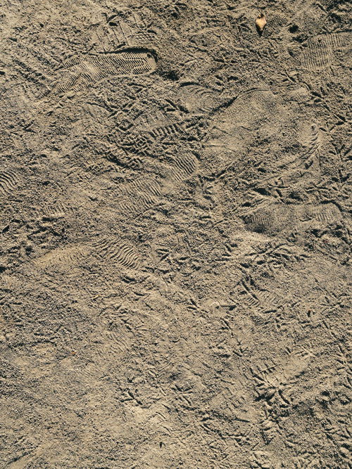 砂地に残る色々な人の靴跡