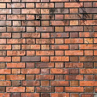 蔦の残骸が残るオレンジ系レンガ壁のテクスチャーの写真