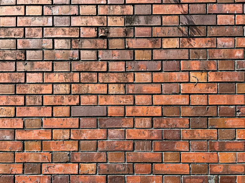 蔦の残骸が残るオレンジ系レンガ壁のテクスチャー