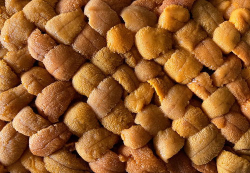 オレンジ色から黄色へのグラデーション、雲丹のテクスチャー