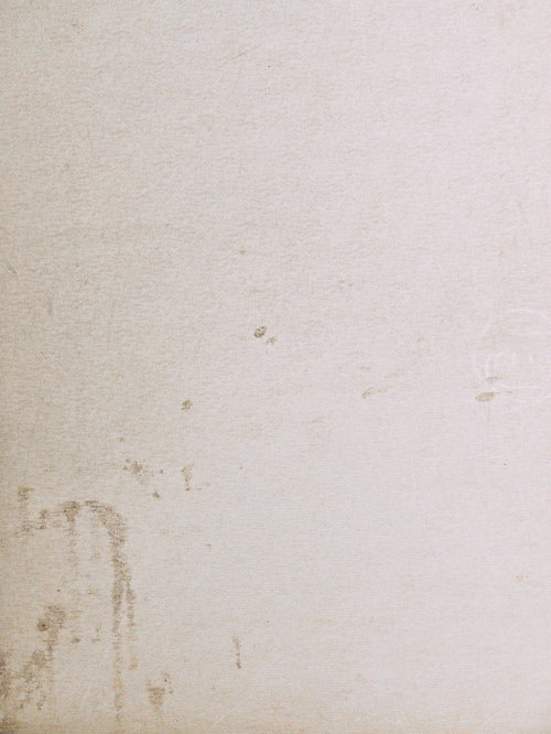 茶色いシミが点在する汚れのある年季の入った壁紙