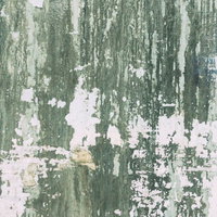 湿り気のある汚れが付いた劣化した古い外壁のテクスチャーの写真