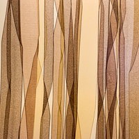 不思議な模様の木製壁のテクスチャー - 縦ストライプ木目の写真