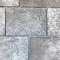 塗装が剥げた風の壁面テクスチャー灰色ブロック建築の写真