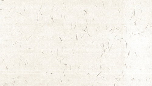 草の繊維が混じった薄いクリーム色の和紙のテクスチャー