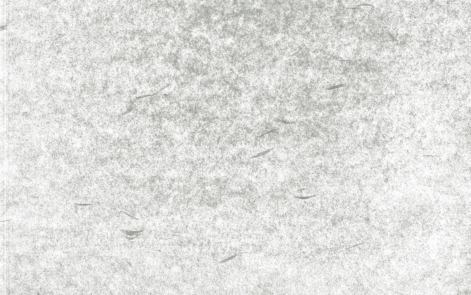 白からグレーの色合いで繊維の質感が細かく表現された和紙