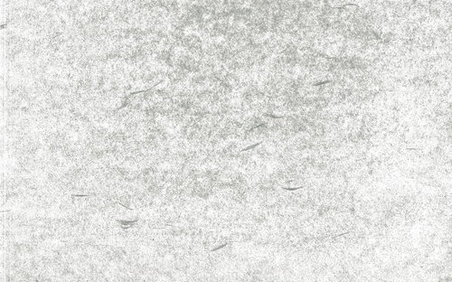 細かい繊維が舞う和紙のテクスチャー