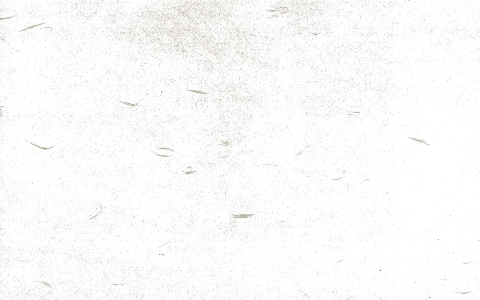 白い和紙の繊維による自然なテクスチャー模様