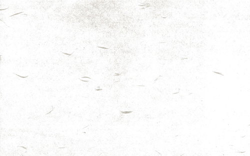 細かに散らばる繊維の白い和紙のテクスチャー