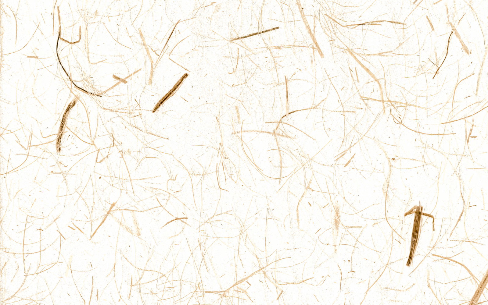 ベージュ色の和紙に細かな繊維が混じったテクスチャー