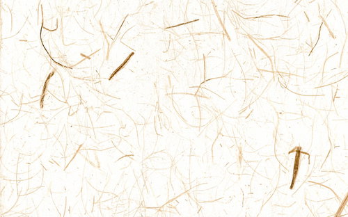 毛髪感のある繊維が散らばる薄いベージュの和紙