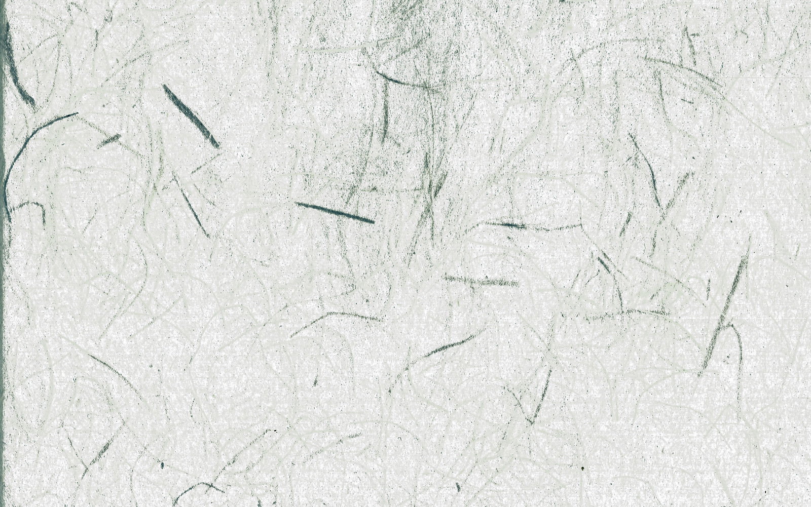 白い和紙の表面に繊維の筋が浮かび上がったテクスチャー