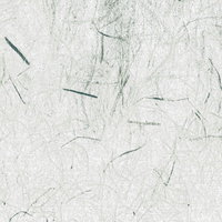 繊維が浮かび上がる白い和紙のテクスチャーの写真