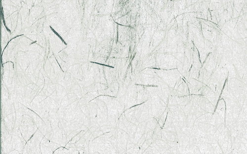 繊維が浮かび上がる白い和紙のテクスチャー