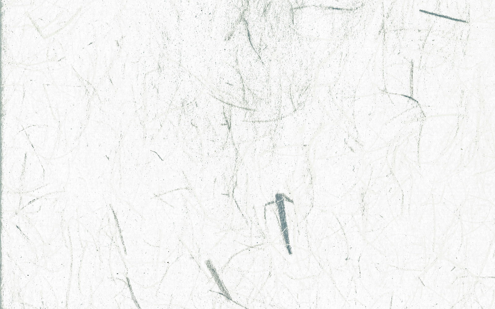 白い和紙の表面に繊維が散らばるテクスチャー