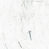 淡く霞んだ白い和紙の繊維テクスチャーの写真