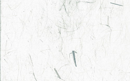 無造作に散る繊維の白い和紙テクスチャー背景