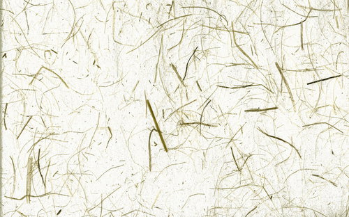 繊維質がしっかり残る和紙のテクスチャー