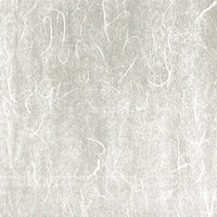 筋が浮かぶ和紙のテクスチャー素材 白とグレーの繊維の写真