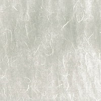 繊維の筋が一面に浮かび上がる和紙のテクスチャーの写真