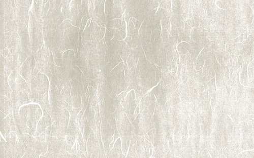 繊維の跡が一面に散らばる和紙テクスチャー