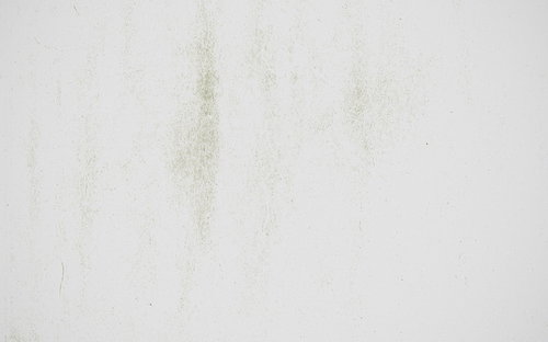 うっすらと繊維跡が残る白い和紙のテクスチャー