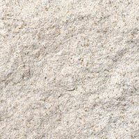 ざらついた壁のテクスチャー（砂岩調）の写真