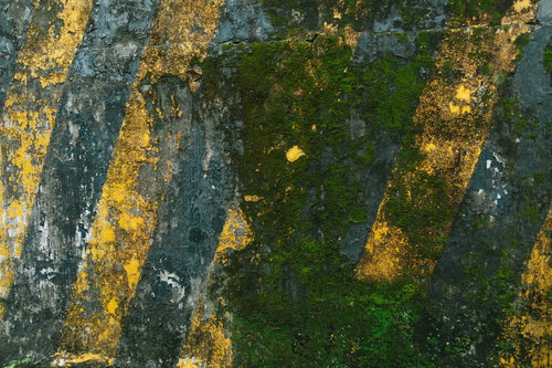芝生に寝転ぶ女性とハートのバルーン