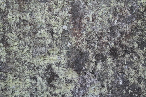 長年の汚れが染み付く岩肌のテクスチャー