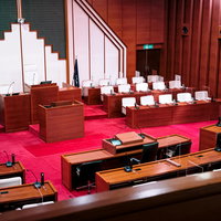 津山市議会の赤絨毯が敷かれた議場の全景と議席配置の写真