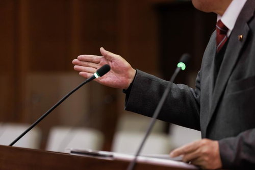 手のジェスチャーで議論を進める男性