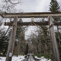 戸隠神社奥社入り口の大鳥居と雪が残るまっすぐに伸びる参道の写真