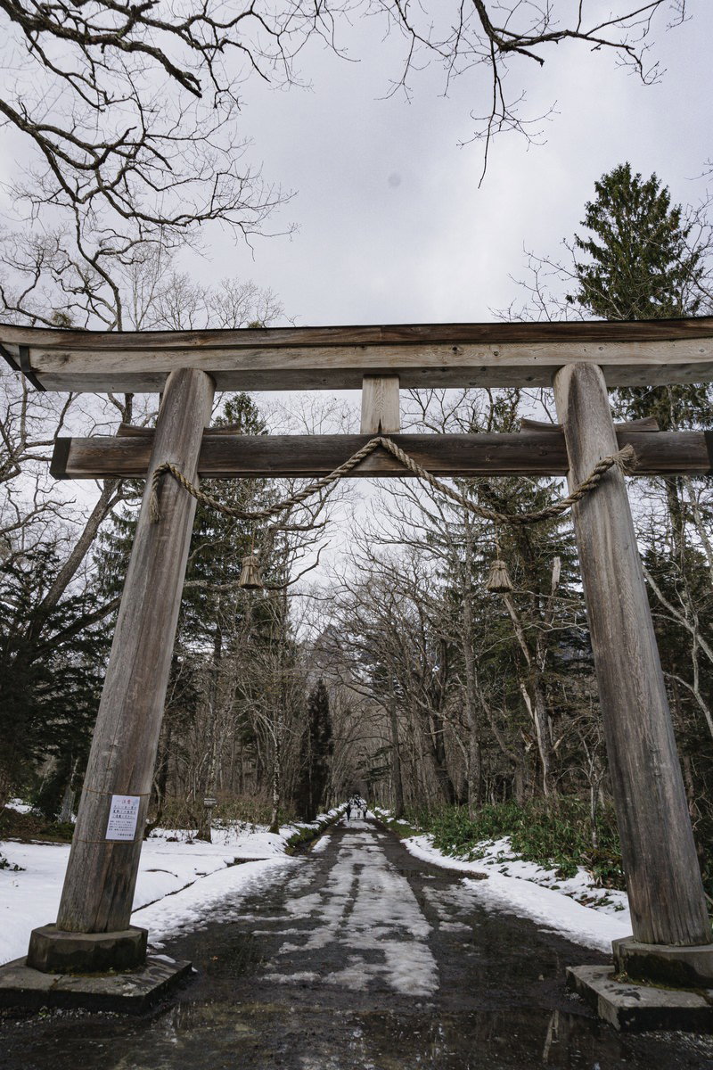 戸隠神社奥社の大鳥居と雪の残る石畳の参道、両脇に杉の木が並ぶ