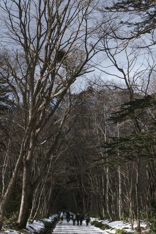 戸隠神社の雪の残る奥社へと続く参道