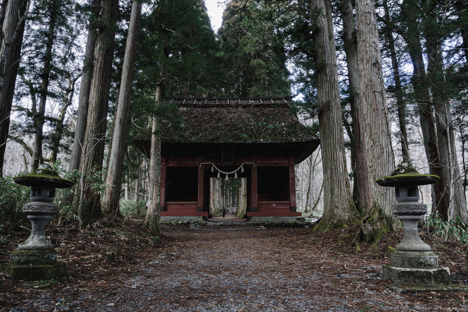 初冬の戸隠神社で茅葺き屋根に枯れ草が積もった随神門と両脇の石灯籠