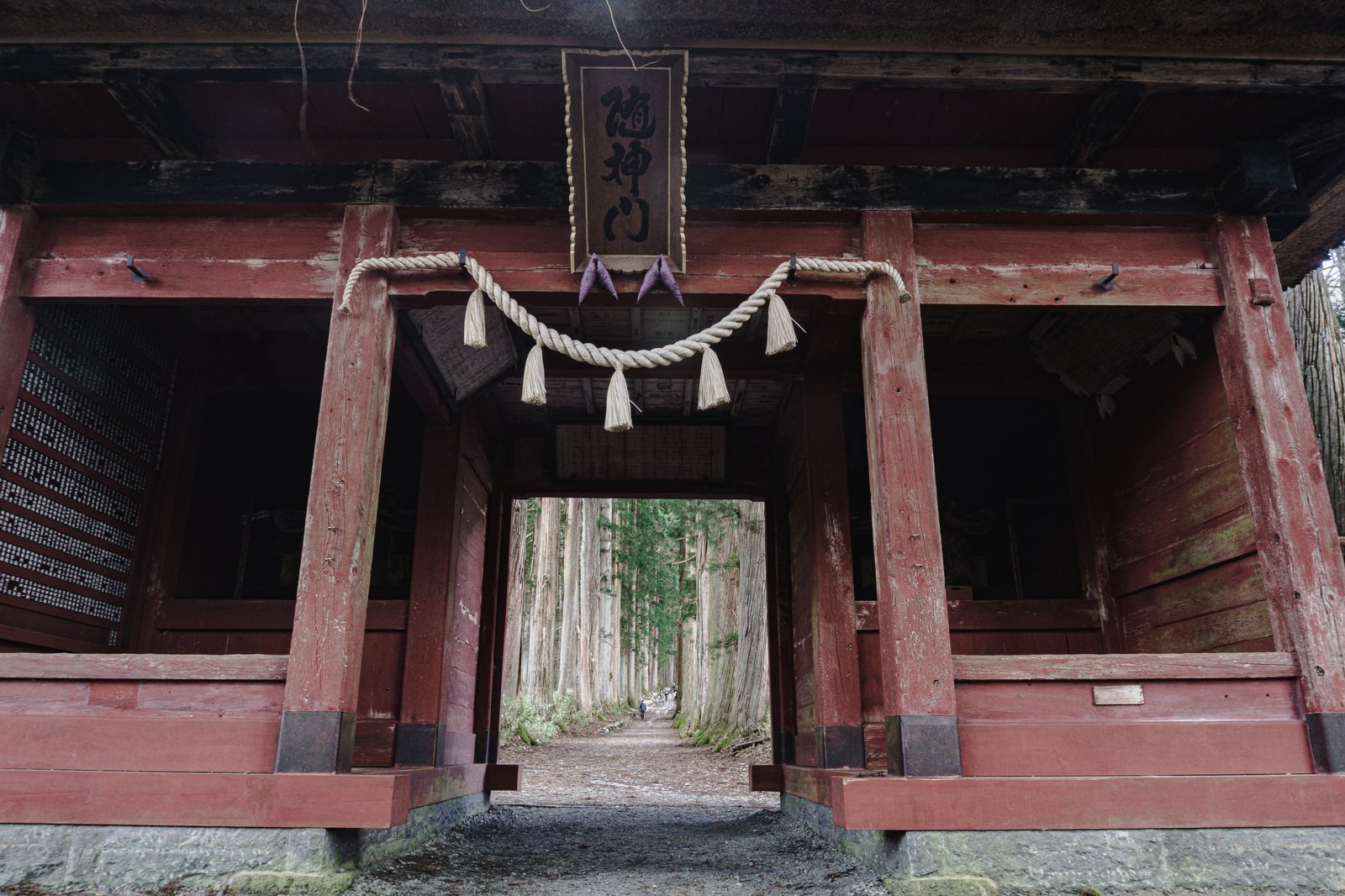 戸隠神社の随神門を見上げた角度で撮影した朱色の門構えとしめ縄