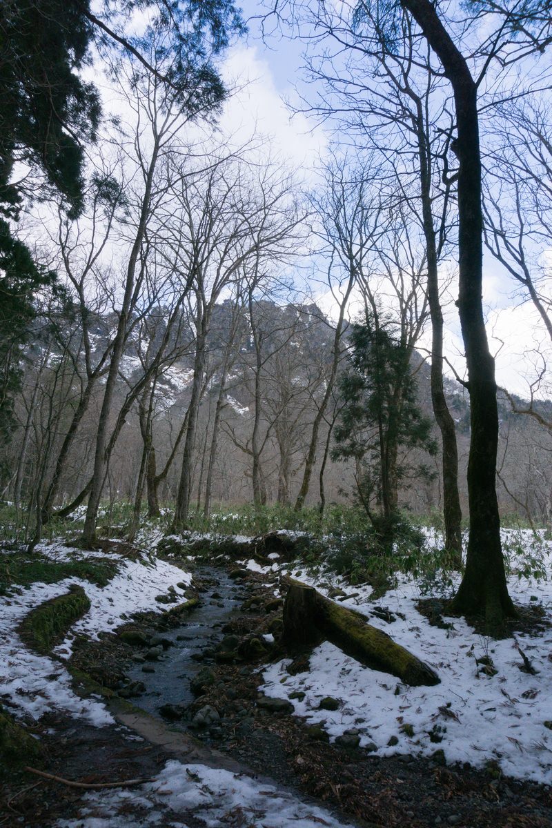 雪の残る川と木々の向こうに見える戸隠山の岩稜