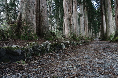 随神門より内側に続く明治維新まであった奥社院坊を偲ばせる石垣