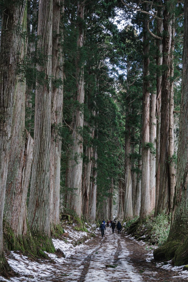 戸隠神社奥社の杉並木の参道を歩く人々と雪が残る冬景色
